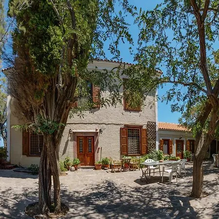 Lela Kaptani Eftalou Olive Grove Mithimna Exteriér fotografie